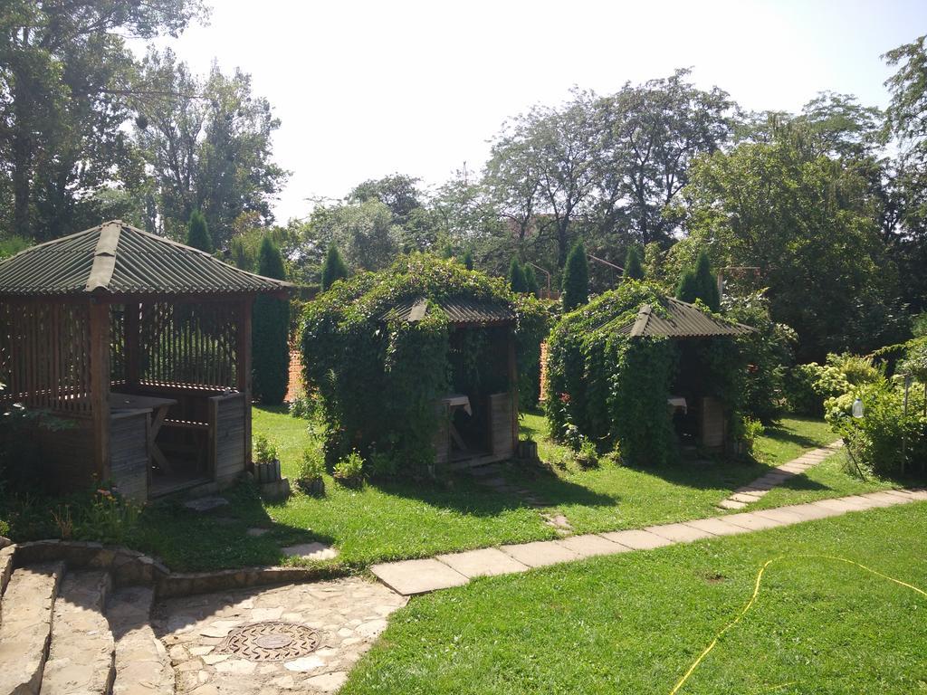 Guest house Sport Chernivtsi
